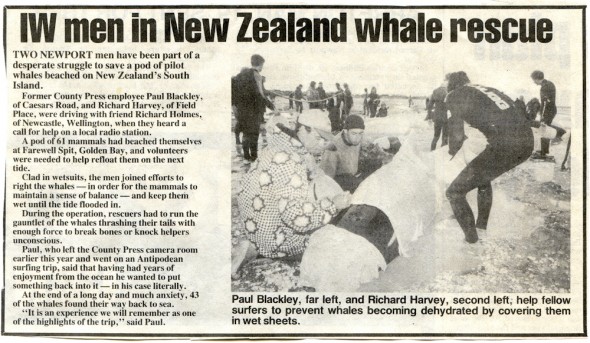 Islanders save the whales