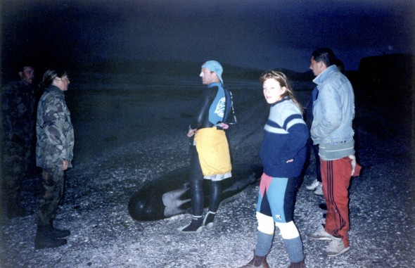 Reality dawned as they came across a whale that didn't make it through the night